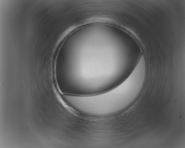 X0000081451038200701121009