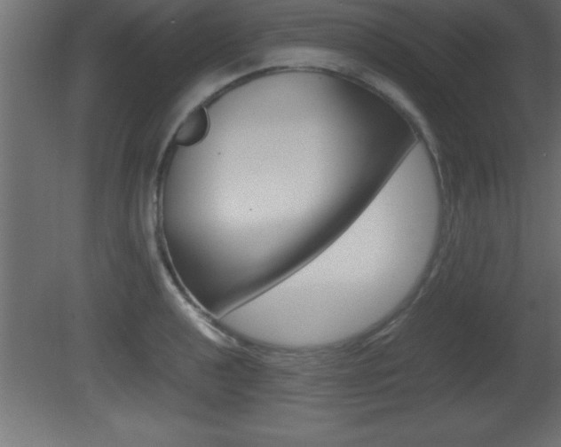 X0000081451040200701121009