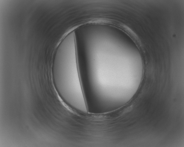 X0000081451041200701121009