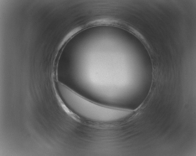 X0000081451042200701121009