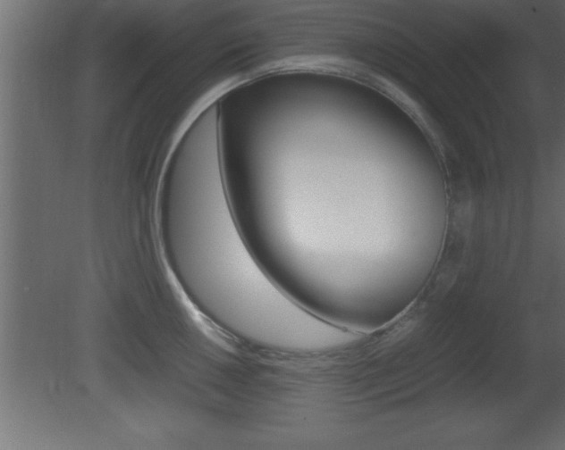 X0000081451050200701121010