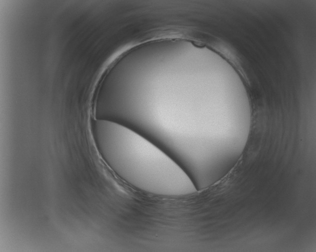 X0000081451051200701121010