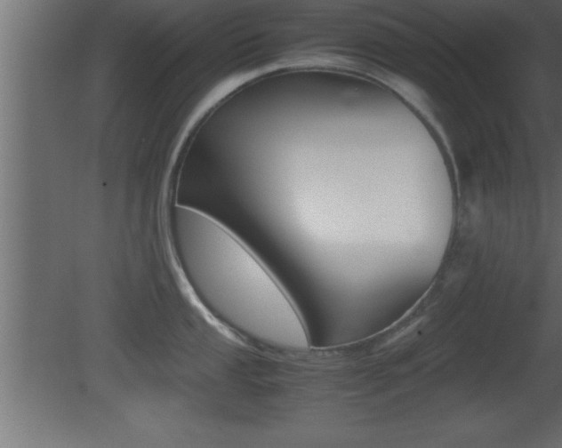 X0000081451053200701121010