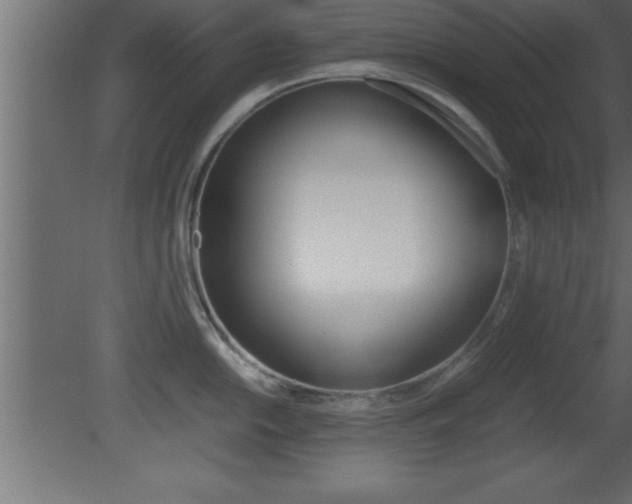 X0000081451054200701121010