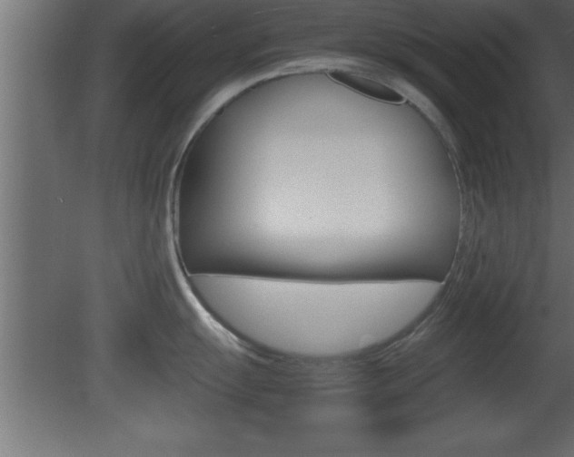 X0000081451055200701121010