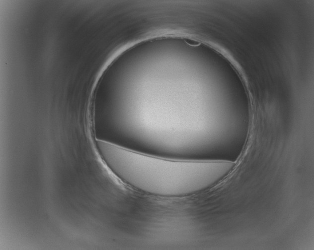 X0000081451056200701121010