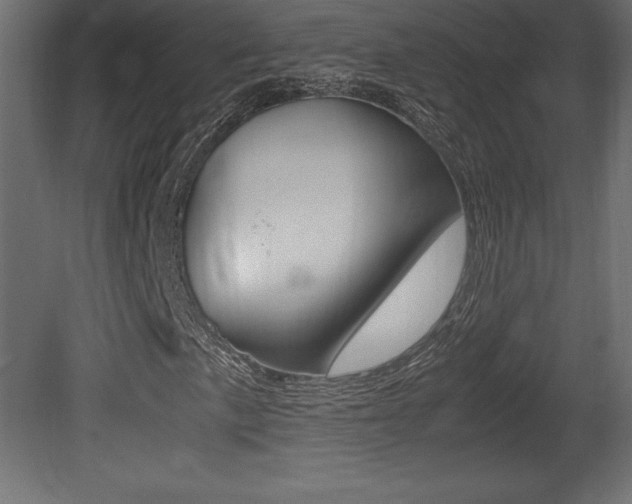 X0000081451057200701121009