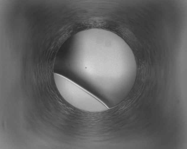 X0000081451058200701121009
