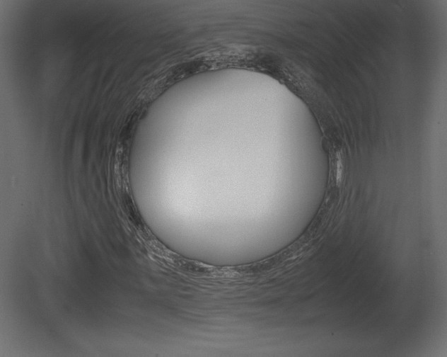 X0000081451059200701121009