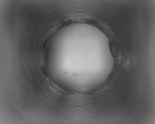 X0000081451060200701121009