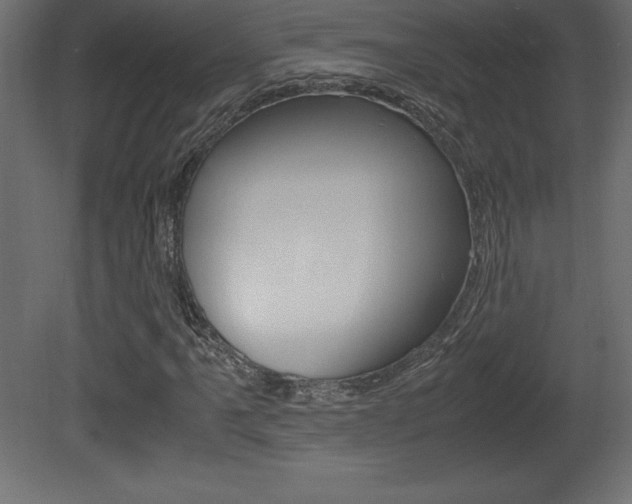 X0000081451061200701121009