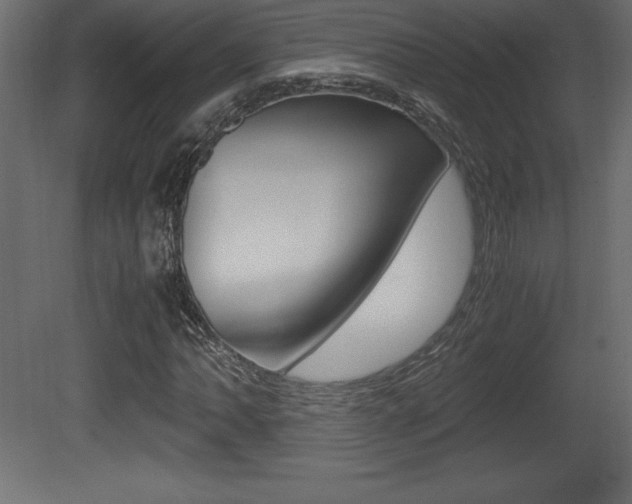 X0000081451062200701121009