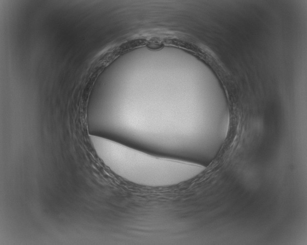 X0000081451063200701121009