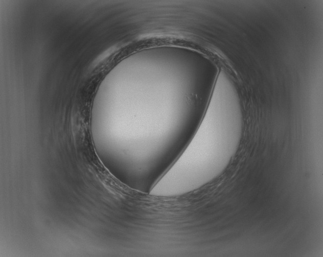 X0000081451064200701121009