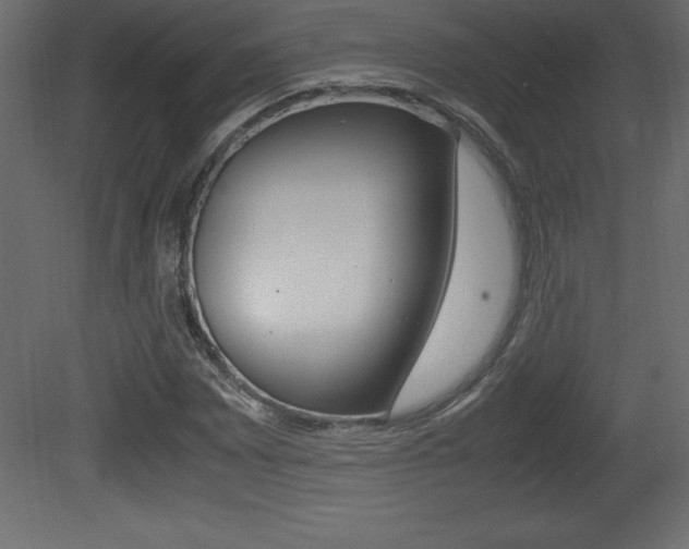 X0000081451065200701121009