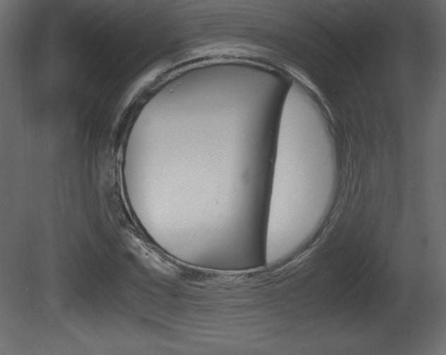 X0000081451067200701121009