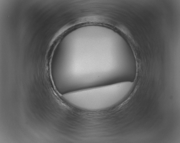 X0000081451070200701121009