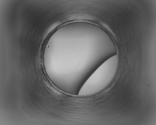 X0000081451071200701121009