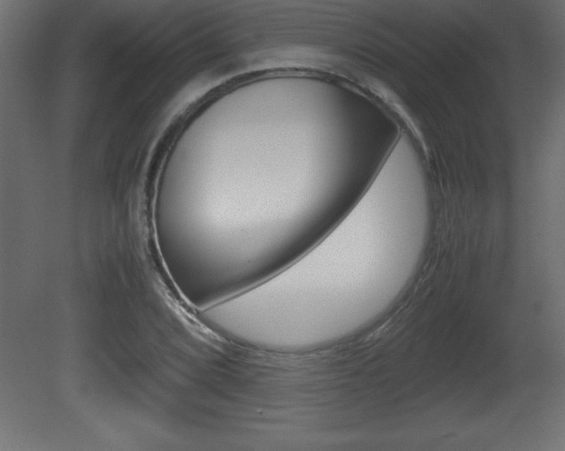 X0000081451072200701121009