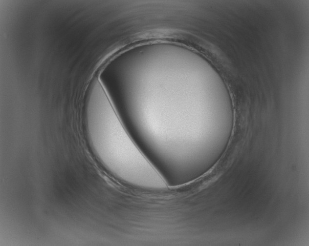 X0000081451073200701121009