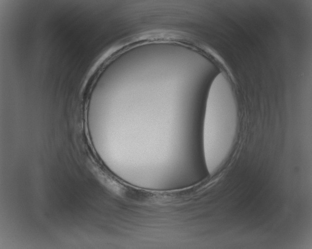X0000081451075200701121009