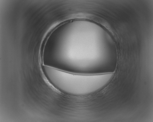 X0000081451080200701121008