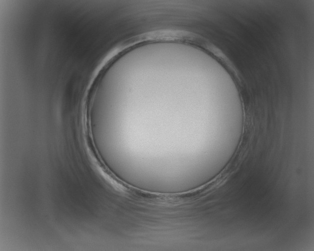 X0000081451083200701121008