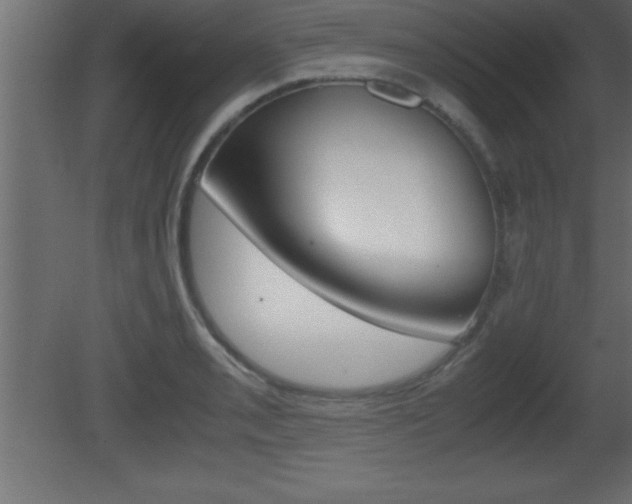 X0000081451085200701121008