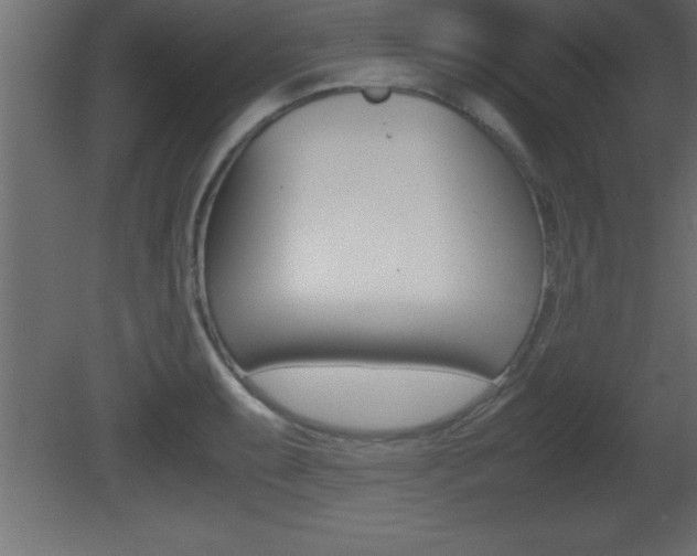 X0000081451087200701121008