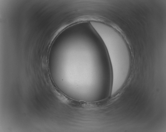 X0000081451089200701121008