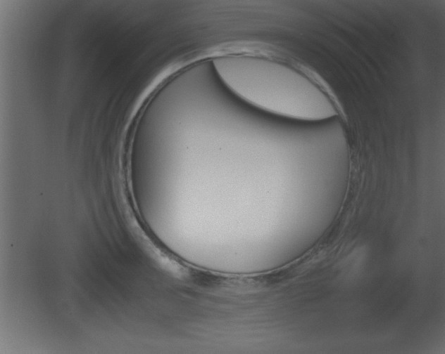 X0000081451091200701121008