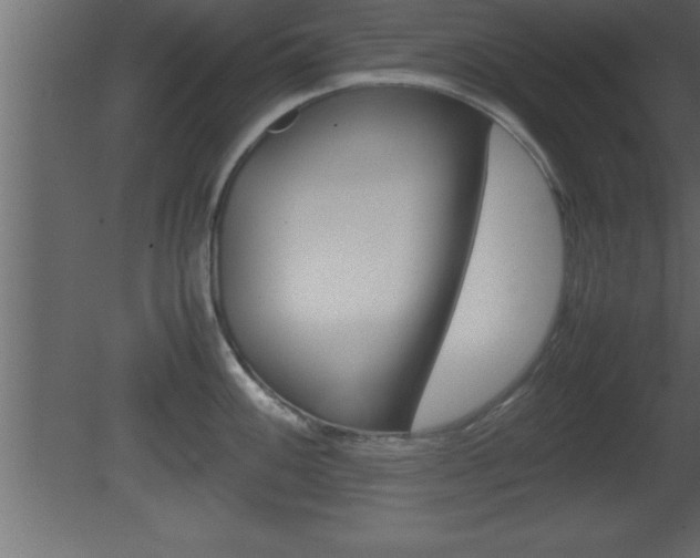 X0000081451100200701121008