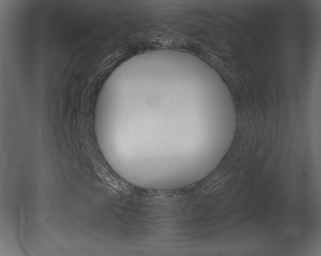 X0000081451105200701121007