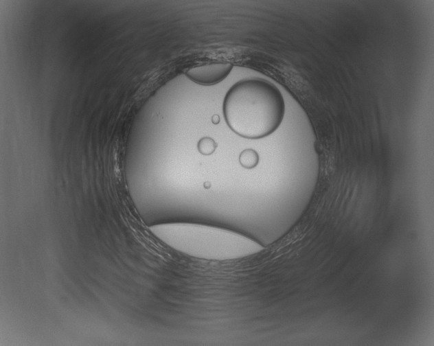 X0000081451106200701121007