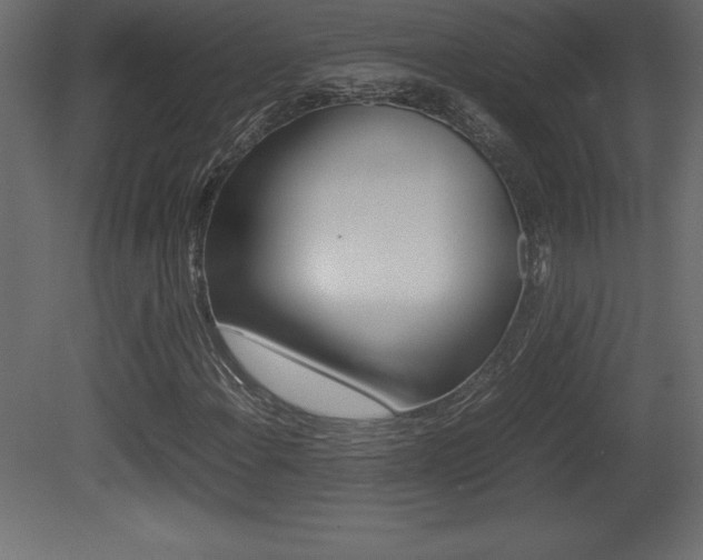 X0000081451108200701121007