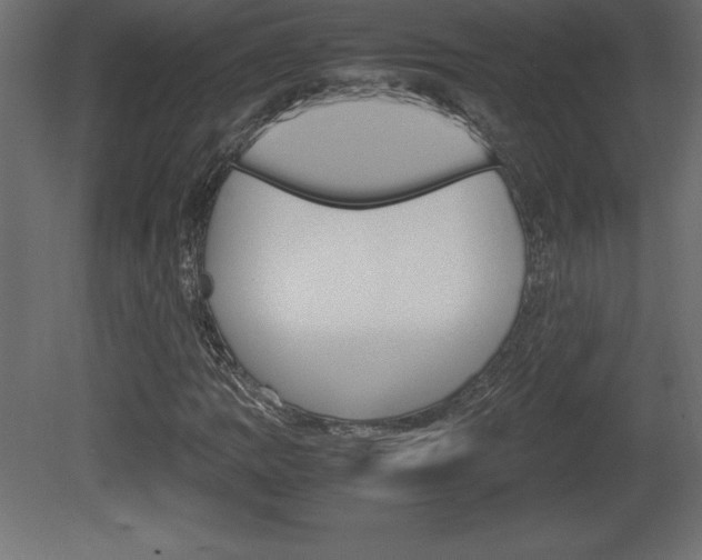 X0000081451109200701121007