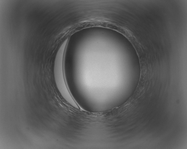 X0000081451110200701121007