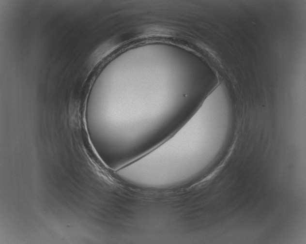 X0000081451113200701121007