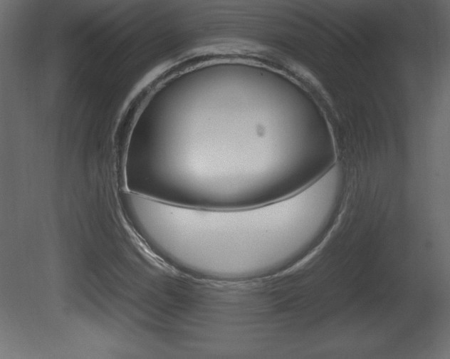 X0000081451114200701121007