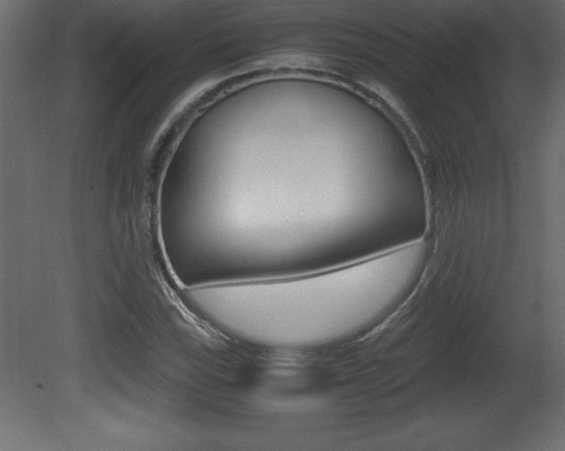 X0000081451115200701121007