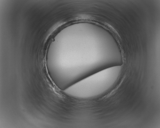 X0000081451117200701121007