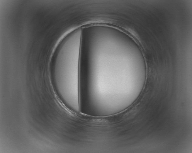 X0000081451119200701121007