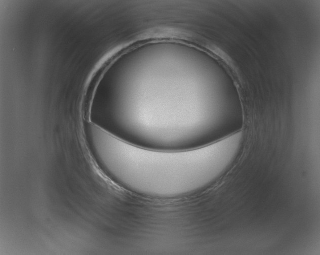 X0000081451120200701121007