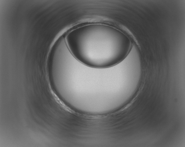 X0000081451122200701121008