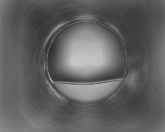 X0000081451123200701121008