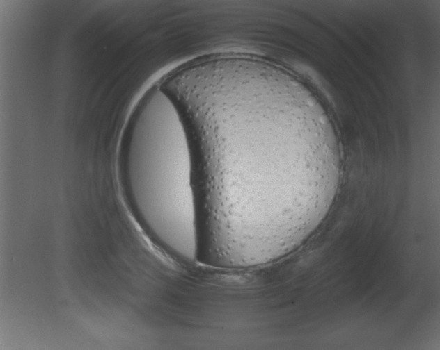 X0000081451125200701121008