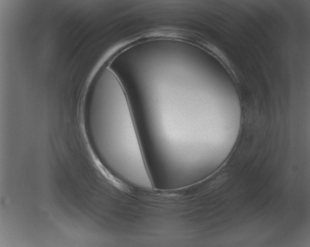 X0000081451131200701121008