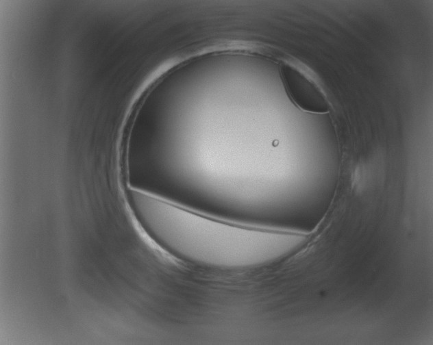 X0000081451135200701121008