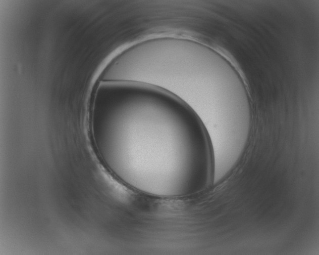 X0000081451136200701121008