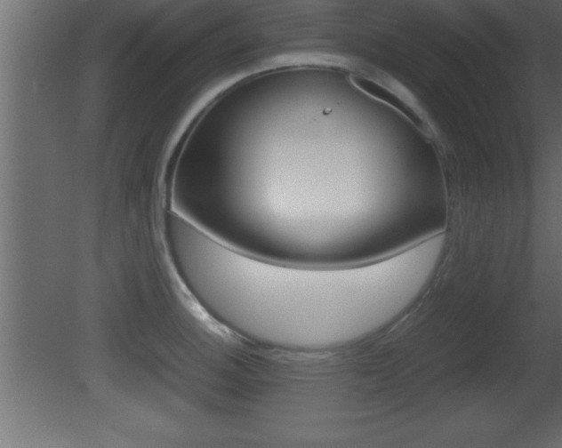 X0000081451140200701121008